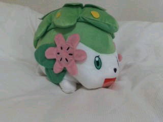 ポケモンくじ３