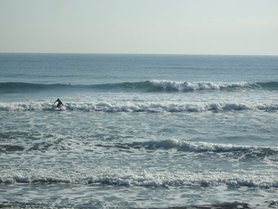 IMGP0644.JPG