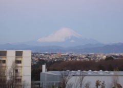 fujiyama20100101.jpg