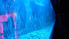 L1120709.jpg