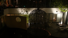 L1090727.jpg