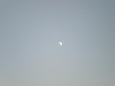 昼の月
