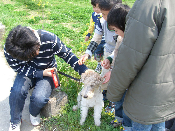大吉流お座り-03