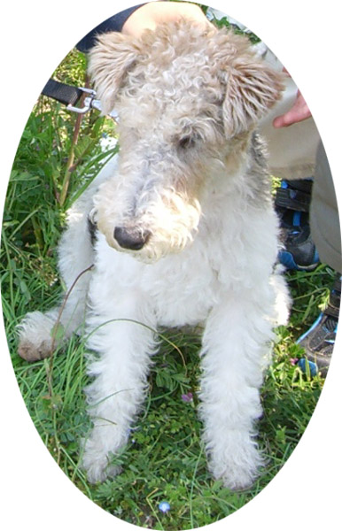 大吉流お座り-03up