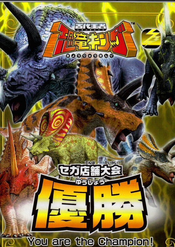 ＳＷ優勝賞状　雷