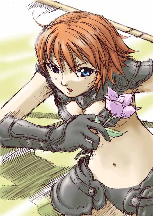 メイファス(らんさ)