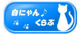 白にゃん♪くらぶ