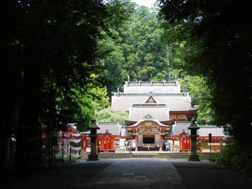 木々の中から☆