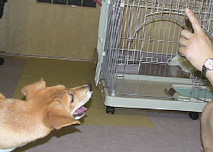 DSC01183.jpg