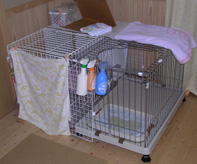 DSCN0610.jpg