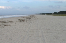 DSC01427.jpg