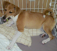 DSC01231.jpg