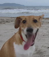 DSC01423.jpg
