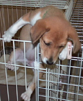DSC00711.jpg