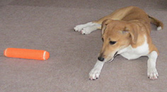 DSC01292.jpg
