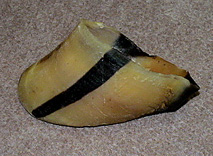 DSC01724.jpg