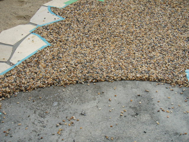 PB160272.JPG