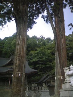 SN3C0072.jpg