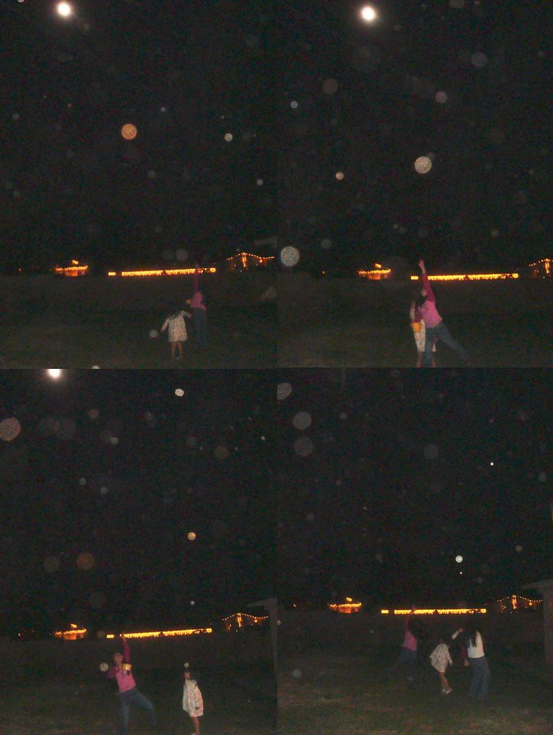 reindeer feeding 2.JPG