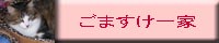 img86029e89yp13v3　しょう君.jpg