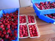 DSCN1566.JPG