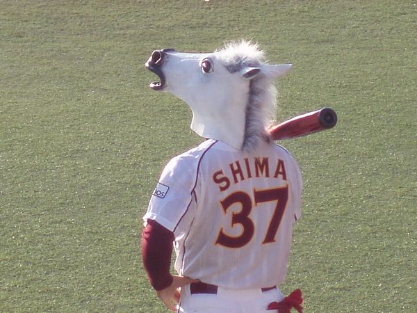 シマウマ.jpg