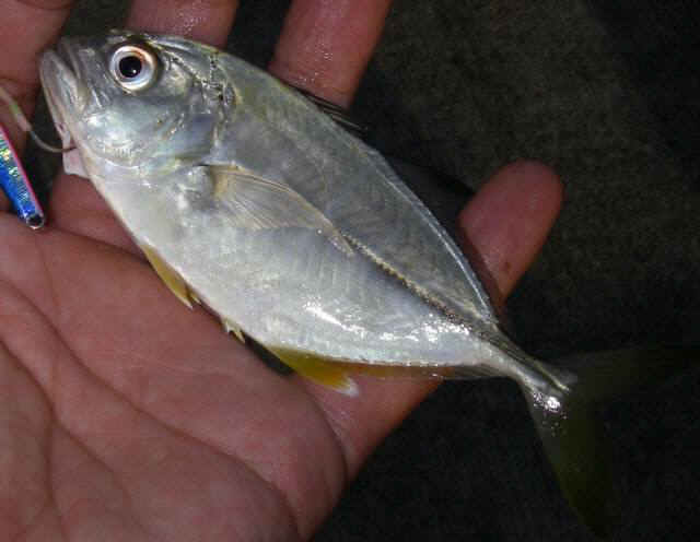 2010・10・12 003-1_001.jpg