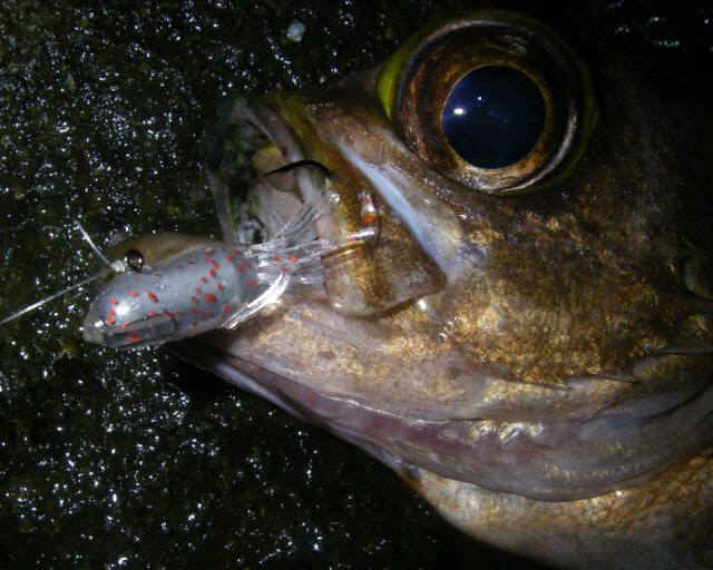 2010・10・13 001-1_001.jpg