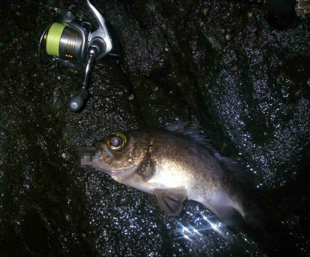 2010・5・31 005-1_001.jpg