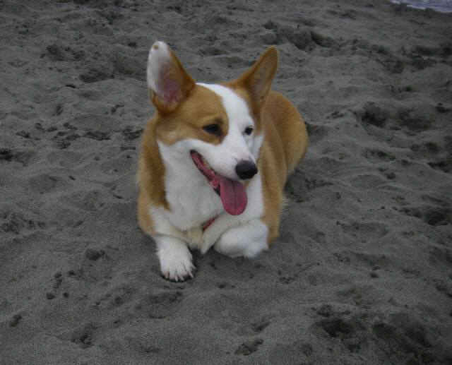 2010・7・9 016-1_001.jpg