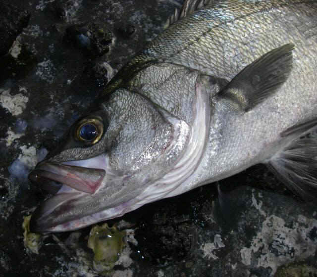 2010・7・20 006-1_001.jpg