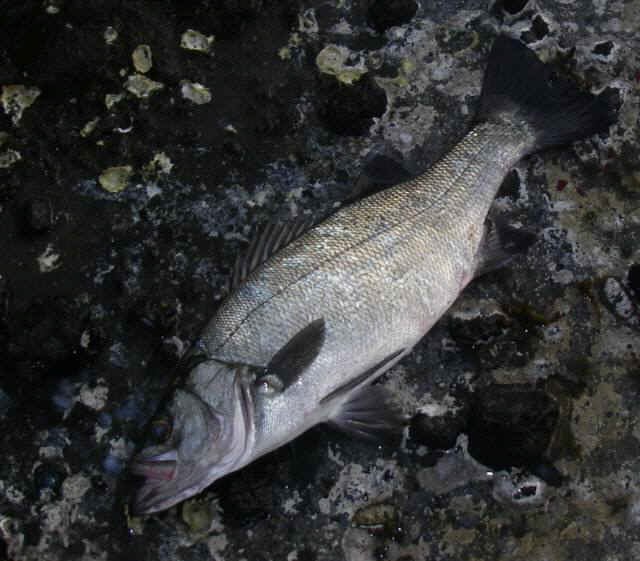 2010・7・20 007-1_001.jpg