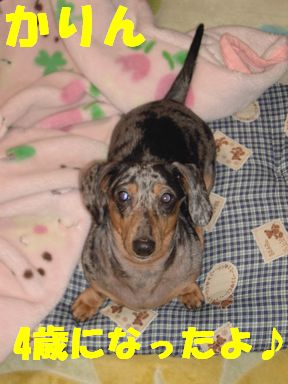 4歳になったよ.jpg
