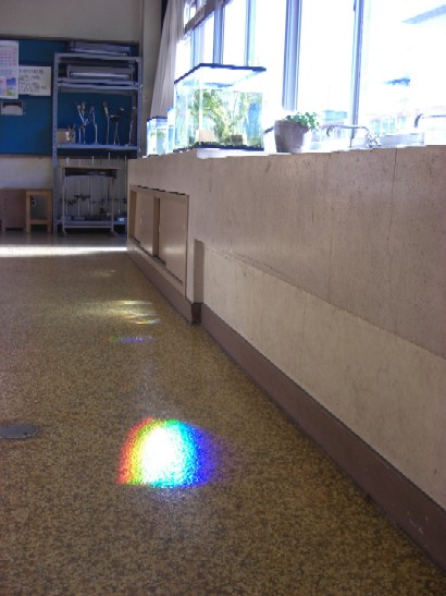 理科室の虹