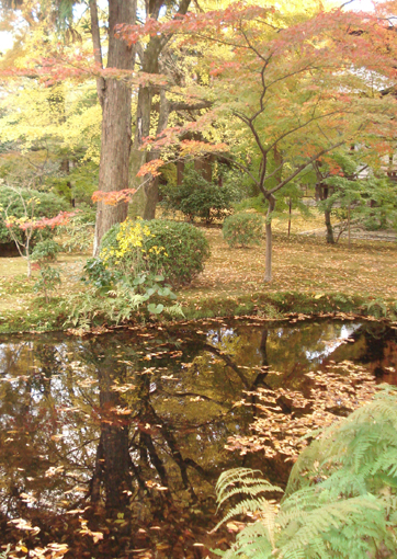 広隆寺池