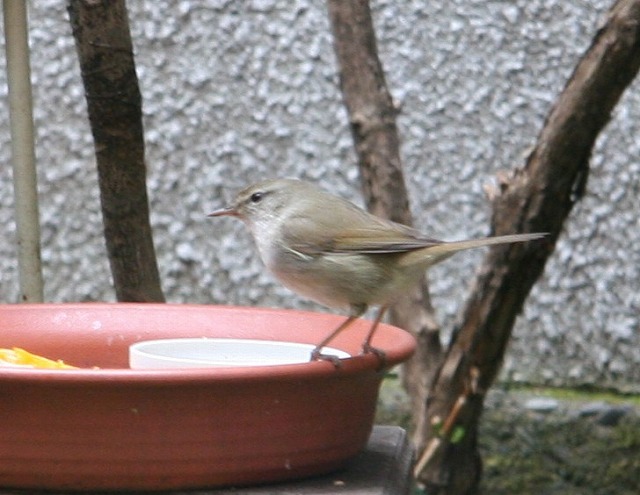 キャノン 058.jpg