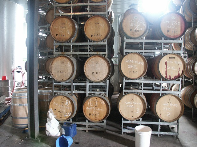 2004年3月16~29オージー 165.jpg