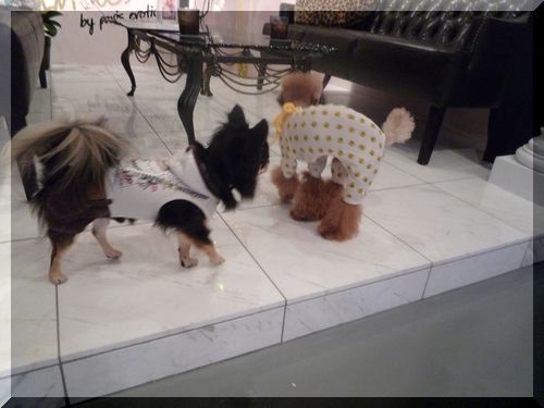 8.24 パリエロ　アラン.JPG