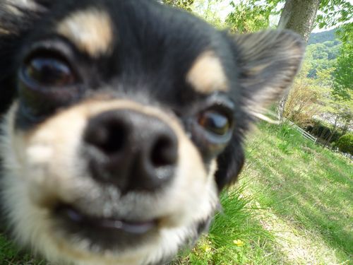 公園　alanあっぷぷ