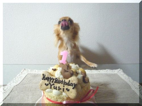 Celebわんこケーキ　ユリ用4.JPG