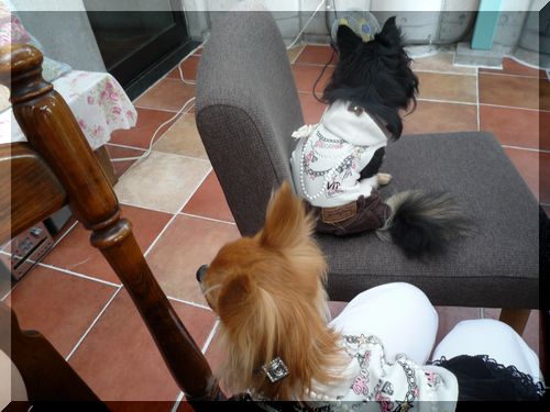 eze アラン＆ユリ.JPG