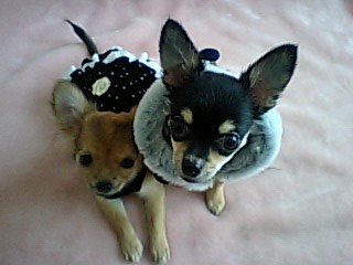 2人でカメラ目線w