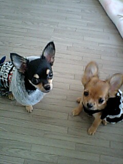 ビミョ～な距離感