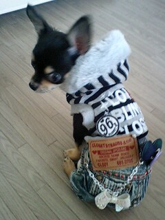 初めてのデニム♪