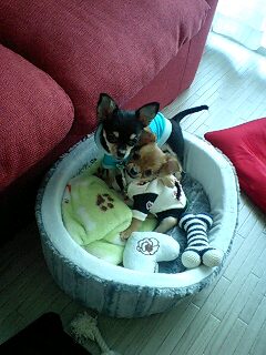 寄り添う二人♪