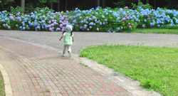 新城総合公園 10.jpg