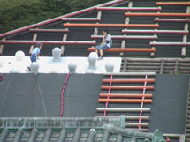 新城総合公園 4.jpg