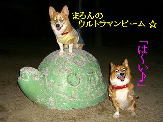 画像 07 474.jpg