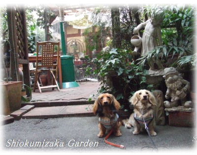 shiokumizaka garden.JPG