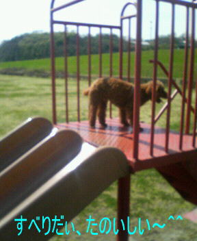 すべりだい～だいすき＾＾